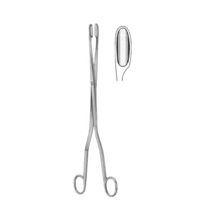 Winter Placenta Ovum Forceps SJ Curved 28cm/11"