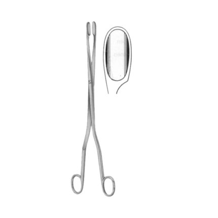 Winter Placenta Ovum Forceps SJ Curved 28cm/11