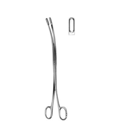 Desjardins Gall Stone Forceps 23cm/9" Fig # 2