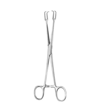 Museux Tonsil Seizing Forceps (Straight) 20cm/8
