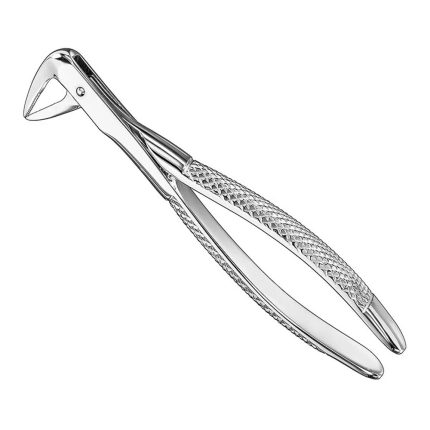 Extracting forceps, engl. patt., size 74XN