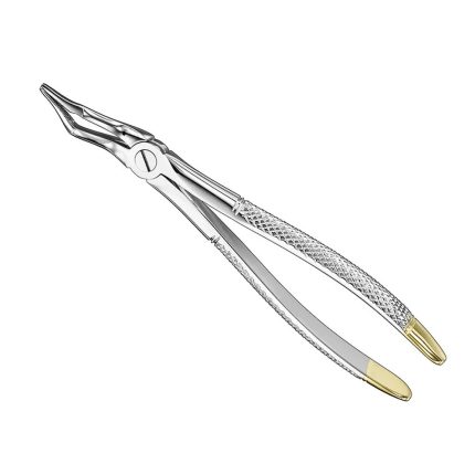 Extracting forceps, engl., sz.351S, diamond