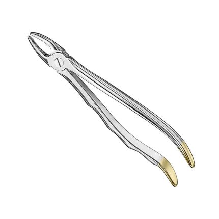 Extracting forceps, anat., size 2, diamond