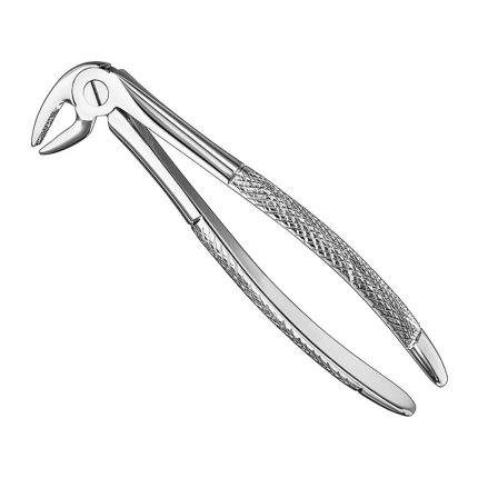 Extracting forceps, engl. patt., size 13