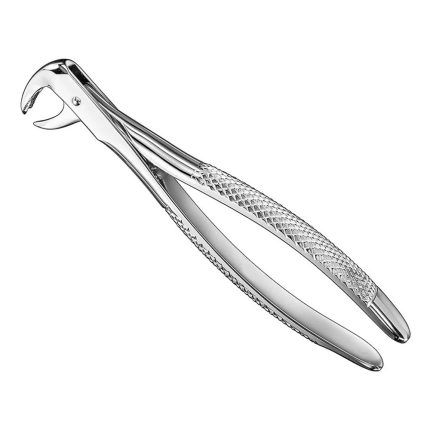 Extracting forceps, engl. patt., sz.99 1/4