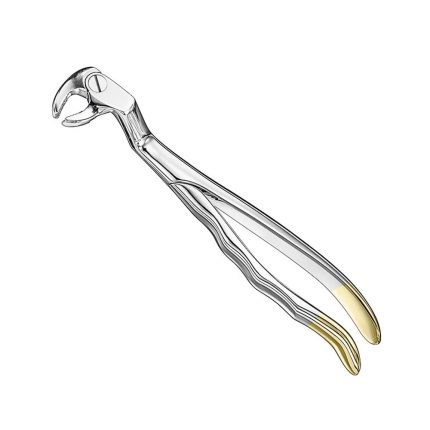 ROUTURIER, extr.fcps., anat., sz.L, diam.