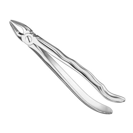 Extracting forceps, anat., size 34 N
