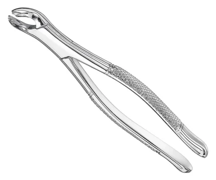 Extracting forceps, american patt., sz.17