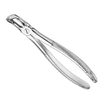 Extracting forceps, engl. patt., size 79 N