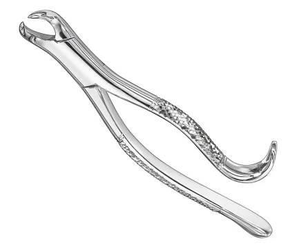 Extracting forceps, american patt., sz.16