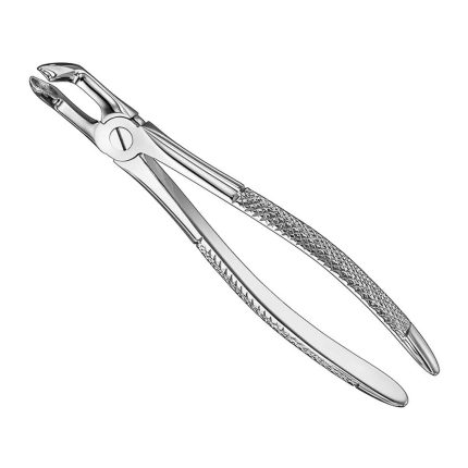 Extracting forceps, engl. patt., size 79A