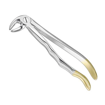Extracting forceps, anat., size 13, diamond