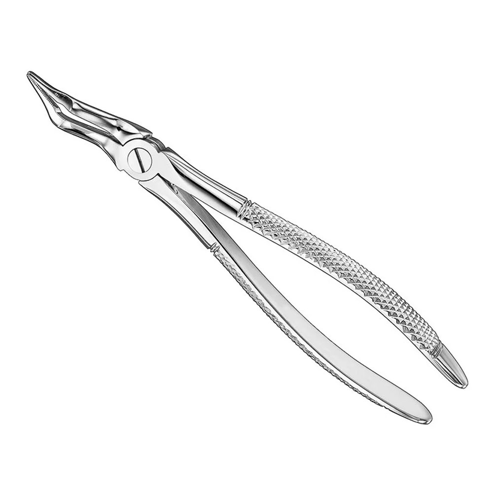 Extracting forceps, engl. patt Extracting forceps, engl. patt., size 351S